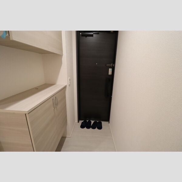 D-カヴェリ本千葉302号室 玄関