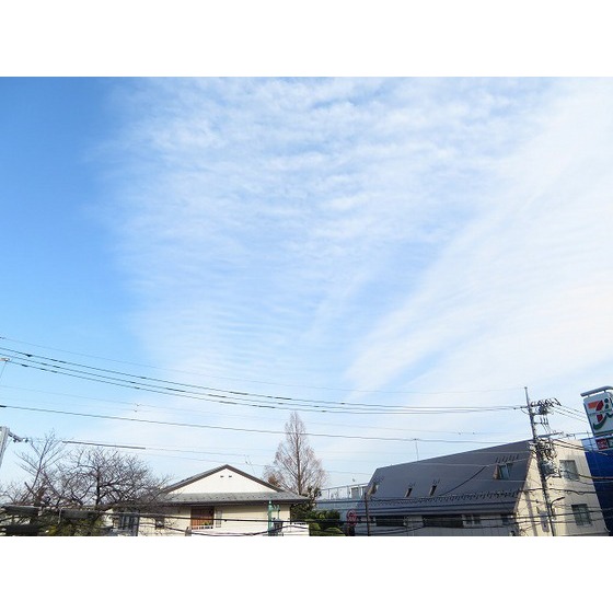 ＧＲＡＮＡＴＯ0206号室 眺望