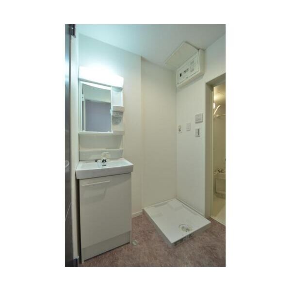 リオン・ドール203号室 洗面