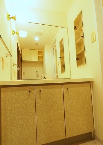 ライオンズマンション洗足池第２ 洗面