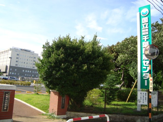 イルミナーレ106号室 独立行政法人国立病院機構千葉医療センターまで346ｍ