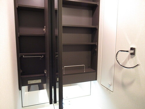 サンクタス文京大塚 アヴァンテラス 洗面所収納