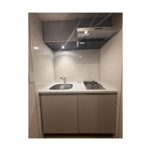 The　Residence　Ichigayadaimachi303号室 キッチン