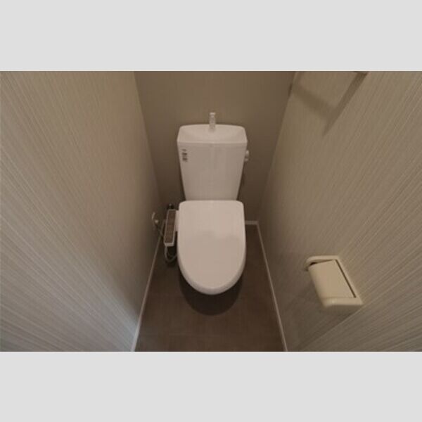 Skey residence塚越(スカイエレジデンスツカゴシ)501号室 トイレ