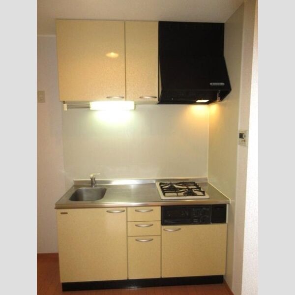 パークサイドコート キッチン流し台