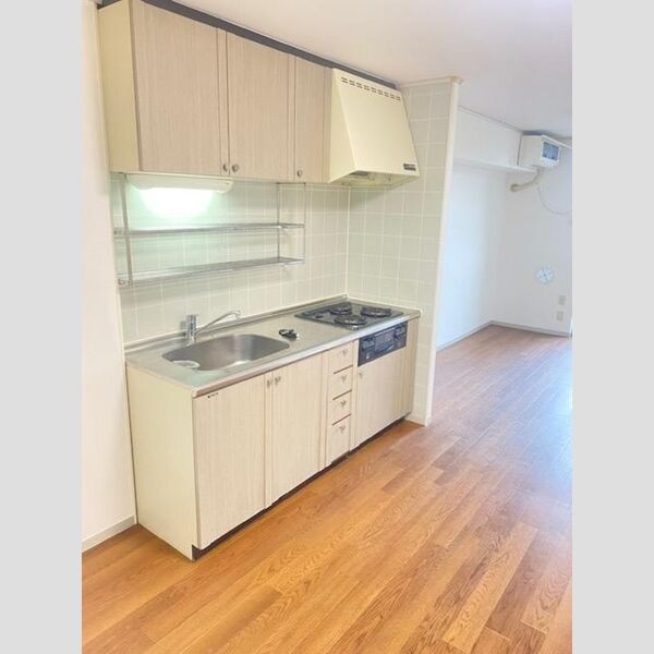 エーデルワイス203号室 キッチン