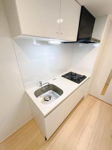 スカイコートリュクス品川大崎103号室 キッチン