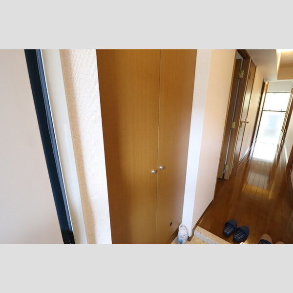 ルーチェ緑が丘　B113号室 シューズボックス