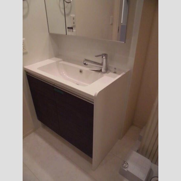 モアニおおたか202号室 洗髪洗面化粧台