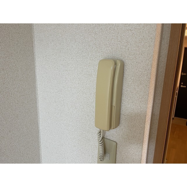 ビューヒル南0101号室 インターホン