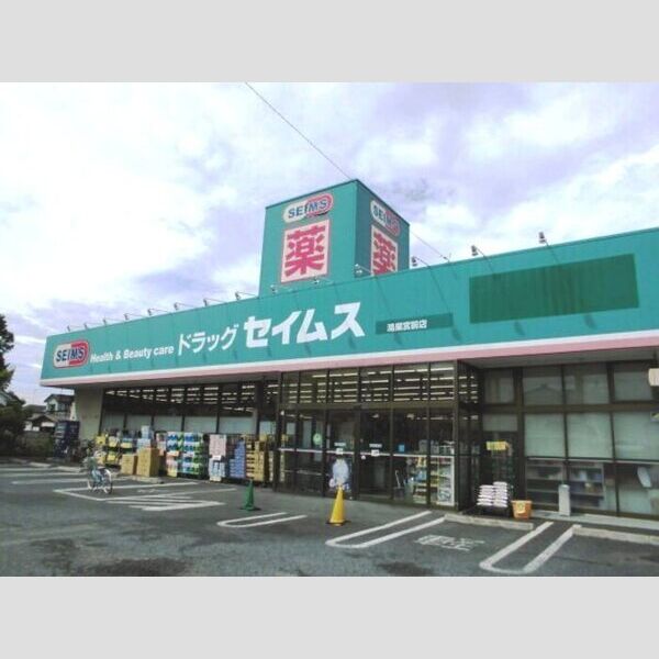 ペイサージュ宮前205号室 ドラッグストアまで666m