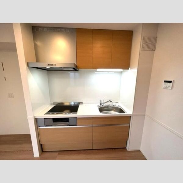 サフィール富士見台 キッチン