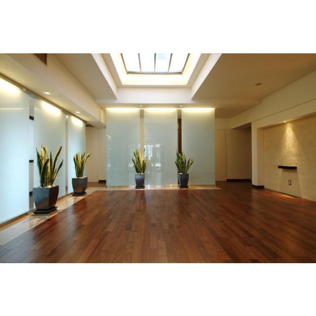 ハイムピア8 エントランス