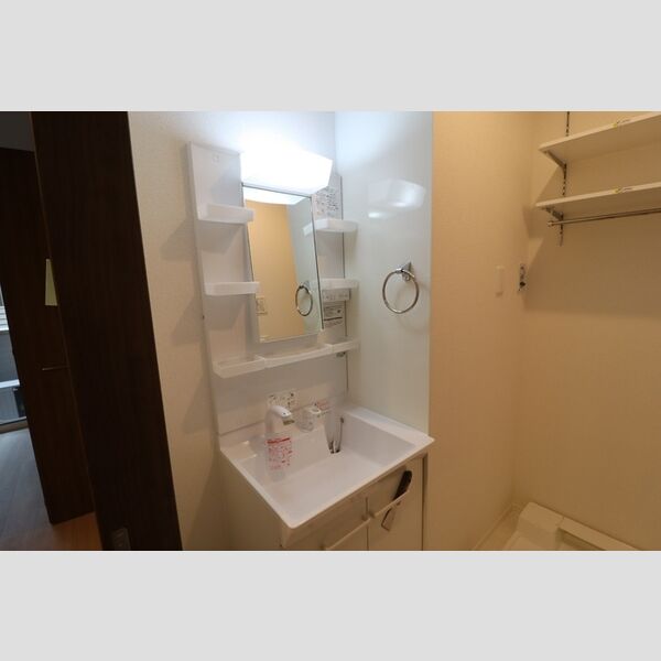 セレスティア白鳥104号室 洗面台