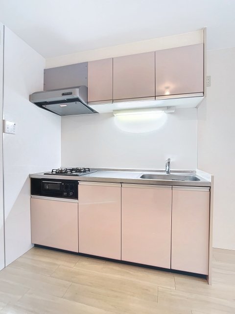 カーサマキ システムキッチン（2口ガスコンロ・グリル付）