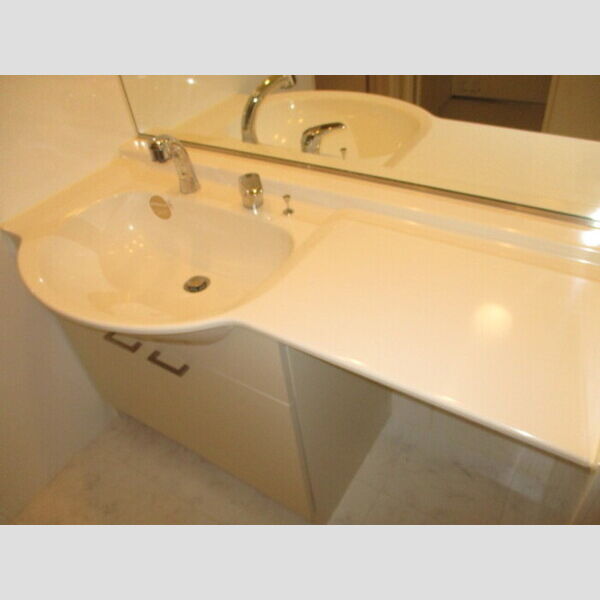 サンシャイン道野辺中央　A203号室 洗髪洗面化粧台