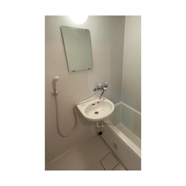 エステートピア星野 洗面