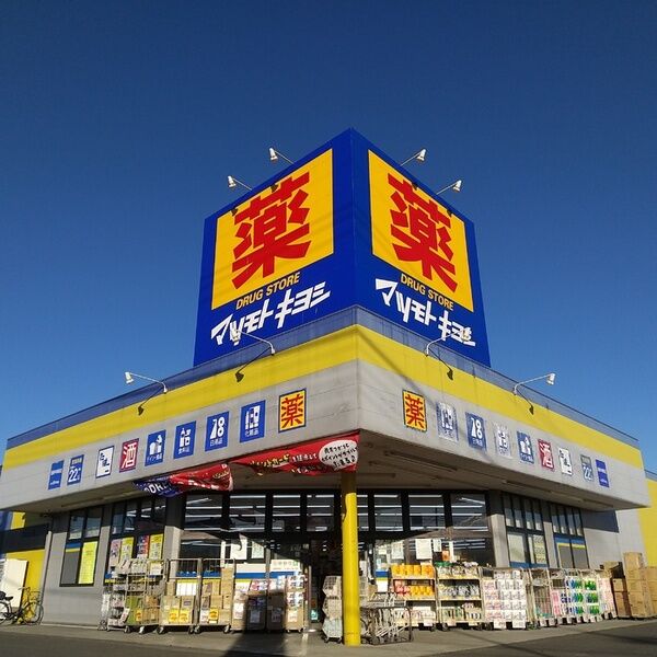 グランドソレイユ ドラッグストア(501M)