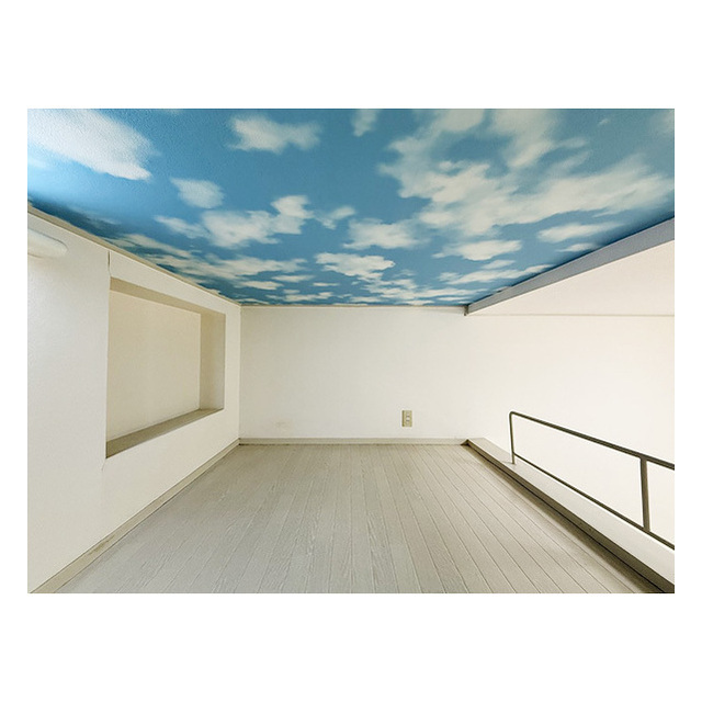 パレスラック108号室 多目的に使えるロフト付き