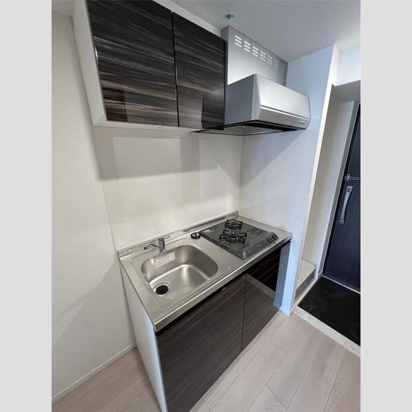 S-RESIDENCE横浜大通り公園901号室 キッチン