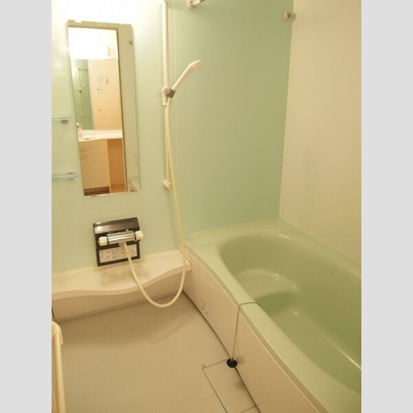 ヴィオラ301号室 浴室(一坪風呂)