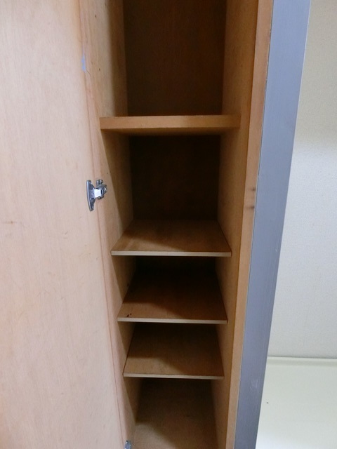 ＳＡＮＫＯ　ＨＥＩＧＨＴＳ　ＯＳＡＫＩ0208号室 収納