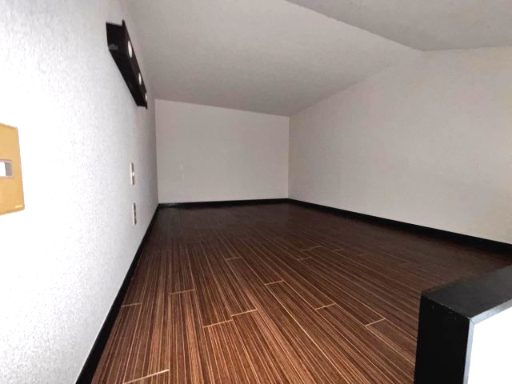 リエス稲田堤207号室 内観