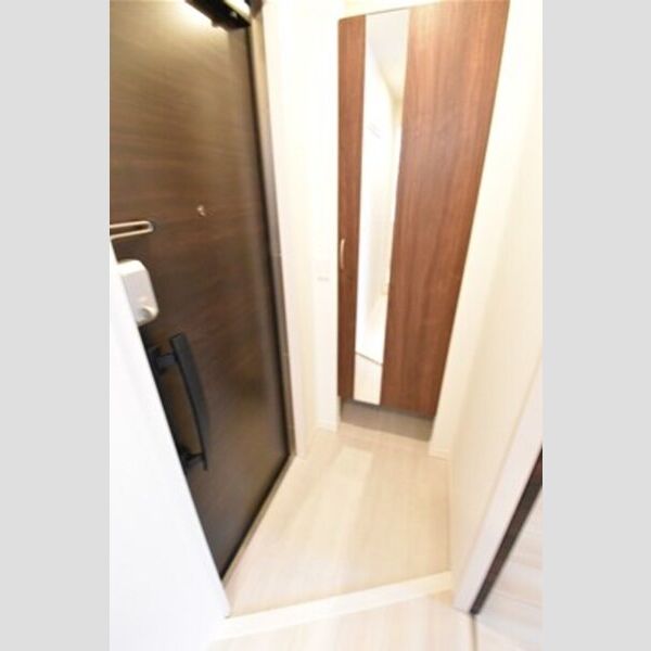 ラ・パージュ桜205号室 玄関