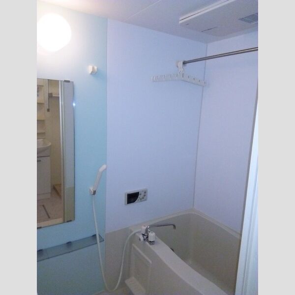 カメリア武蔵藤沢210号室 バスルーム