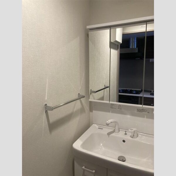 S-FORT板橋本町103号室 洗面