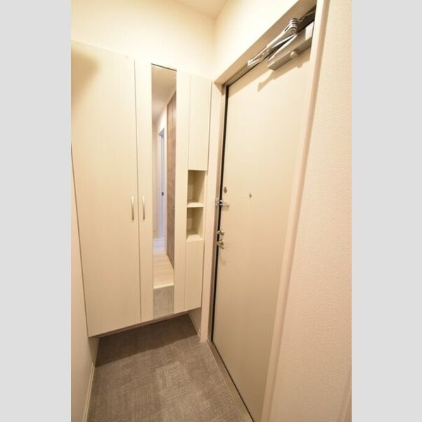サテライト海老名101号室 玄関