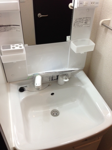 レオネクスト川越シティ403号室 内観