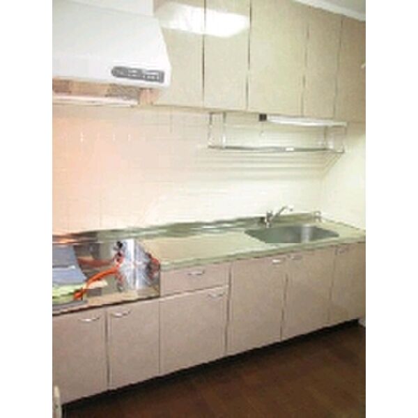 サニープレイス0305号室 洗面