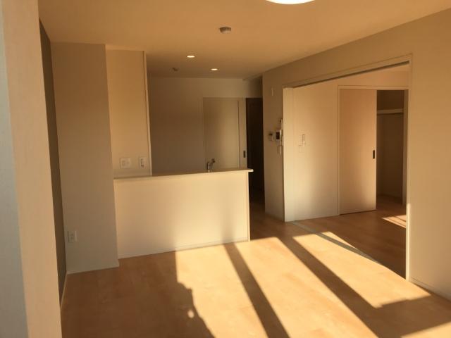 ｇｒｅｅｎ ｍａｉｓｏｎ(グリーンメゾン)105号室 リビング