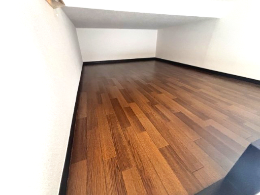 リエス稲田堤101号室 内観