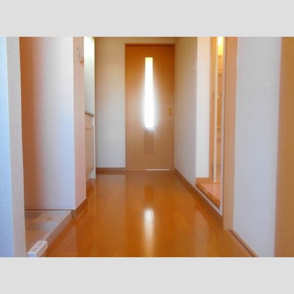 ステラ コート　共同住宅305号室 K2帖