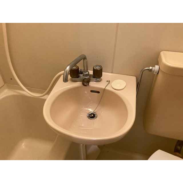 ブラウン第3101号室 内観