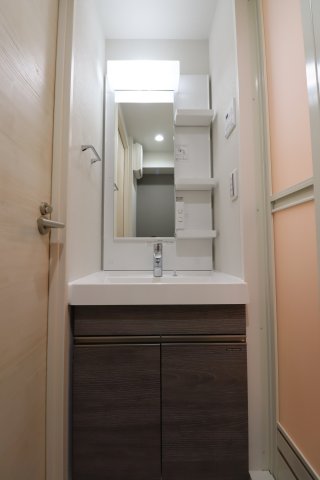 GENOVIA西川口Ⅱ0304号室 洗面
