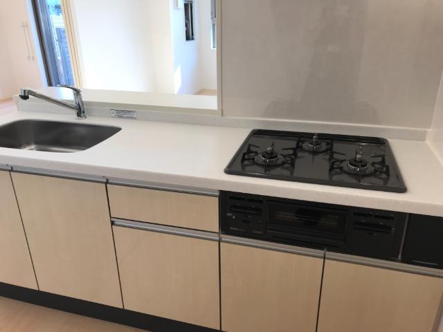 ｇｒｅｅｎ ｍａｉｓｏｎ(グリーンメゾン)105号室 キッチン