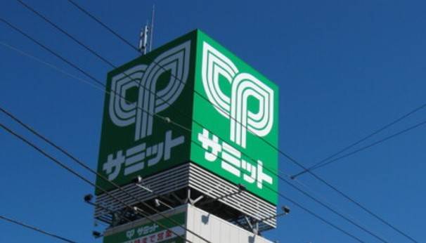 メゾンプラターヌ1階 サミットストア 成田東店