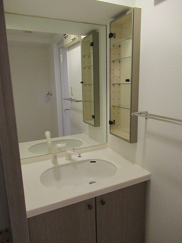 ライオンズテラス川越 洗面台