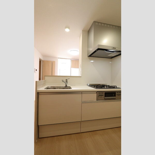 ビーネ北坂戸201号室 システムキッチン
