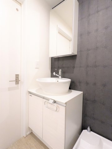 カサプレミア代田202号室 洗面