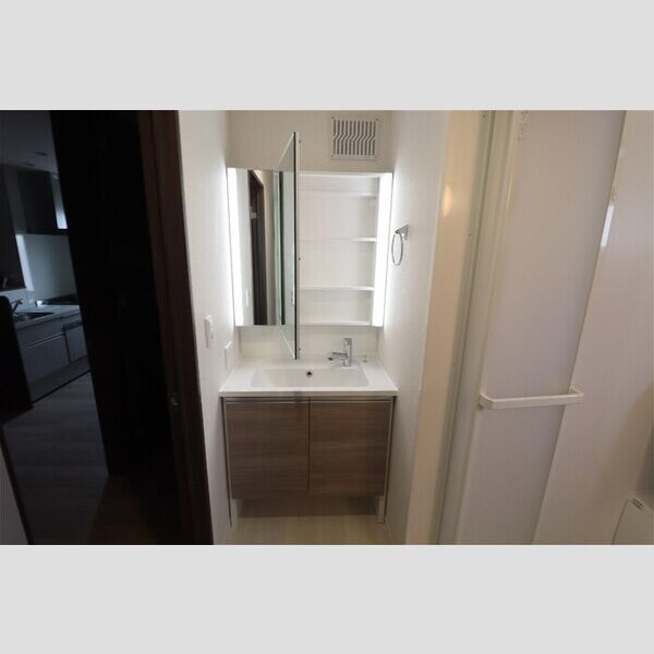 サリサ.k303号室 洗面台