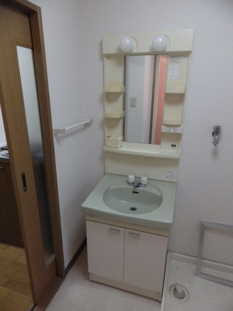 ルアソル0202号室 洗面