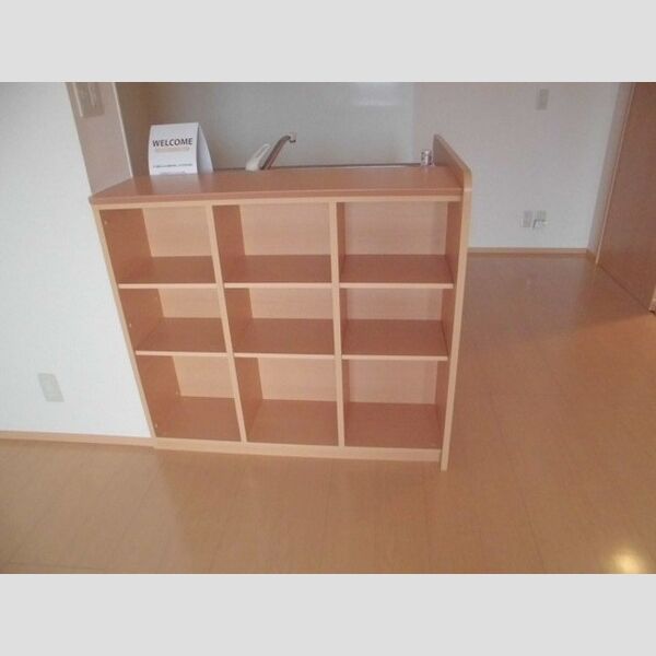 サンヒルズ・サクラ203号室 カウンター収納