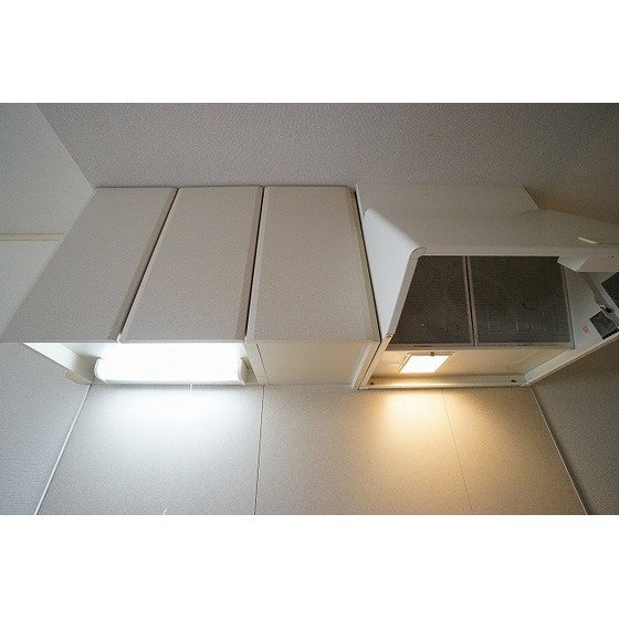 ユーハイツ0105号室 上収納