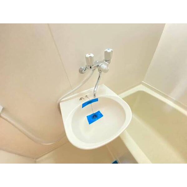 エクセレントひばりが丘B0103号室 洗面