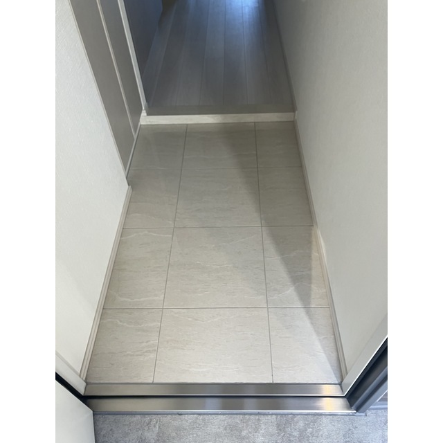 ACP Residence 亀戸1001号室 玄関