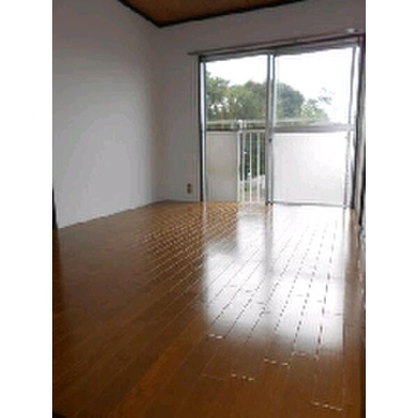 メゾングランドール0203号室 リビング